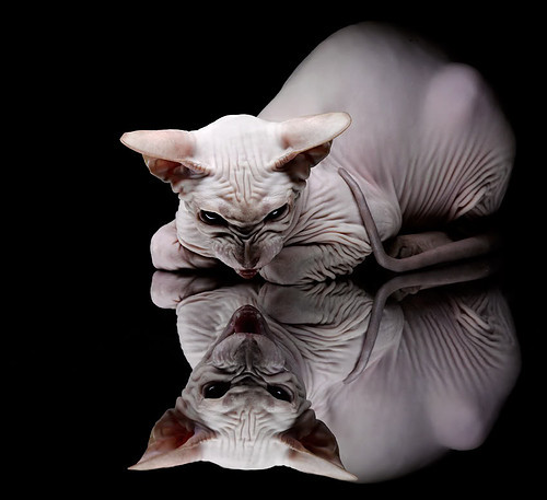 开云·体育官网-中国篮球联赛官宣年度最佳阵容，中国篮球队最佳战绩