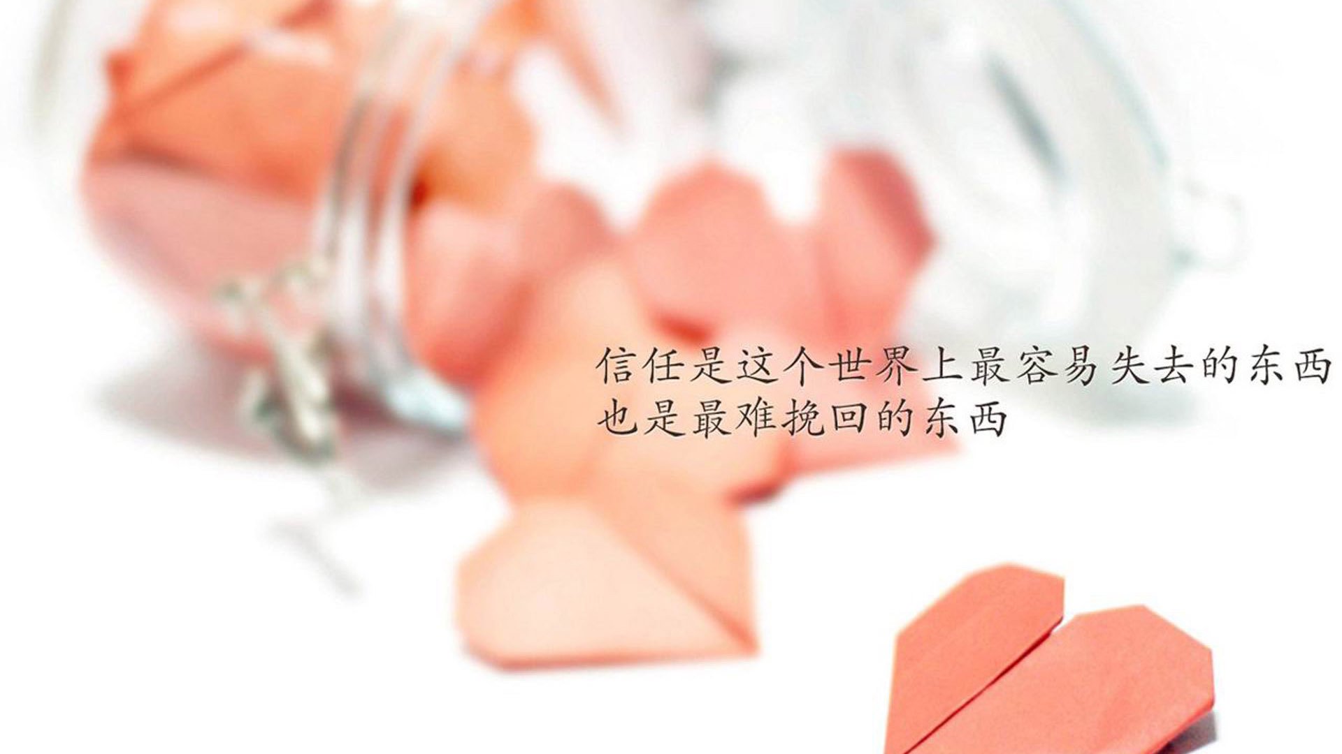 塞内加尔马术协会设立马匹福利基金,支持马匹退休生活。,塞内加尔马塔尔