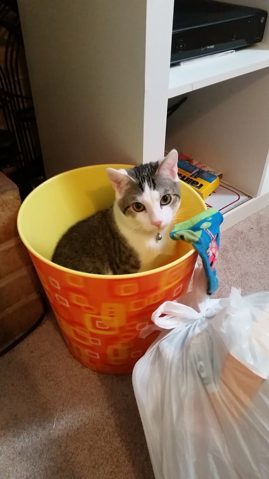 意甲：年轻潜力股频繁转会，未来可持续发展，意甲最年轻球队