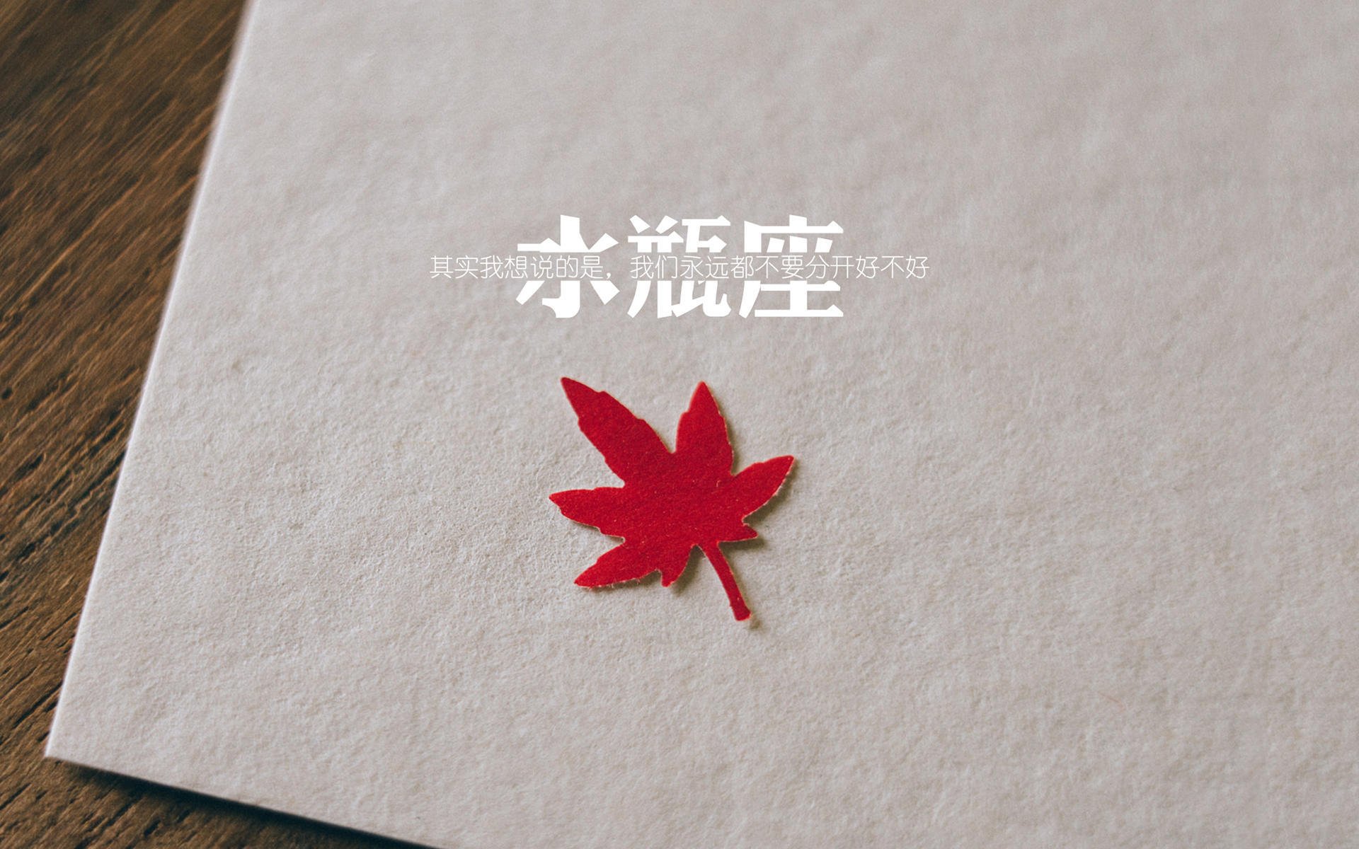 最精彩瞬间:张伟连续得分引爆现场,全场欢呼不断!,张伟 20年