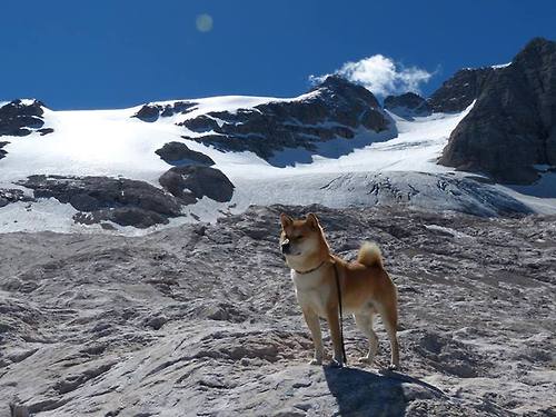 足球自主品牌球衣系列发布引发抢购,足球衣服品牌前十排名