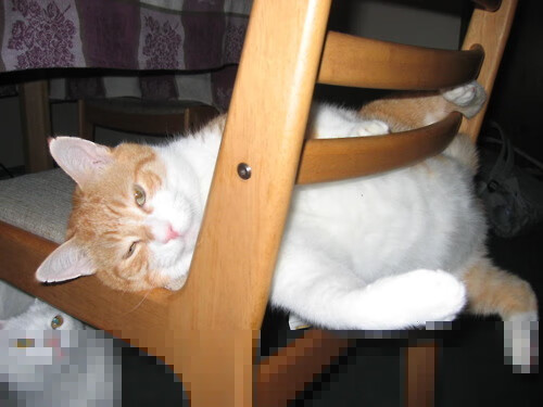 野外生存运动:极限挑战新玩法,野外挑战生存21天视频全集