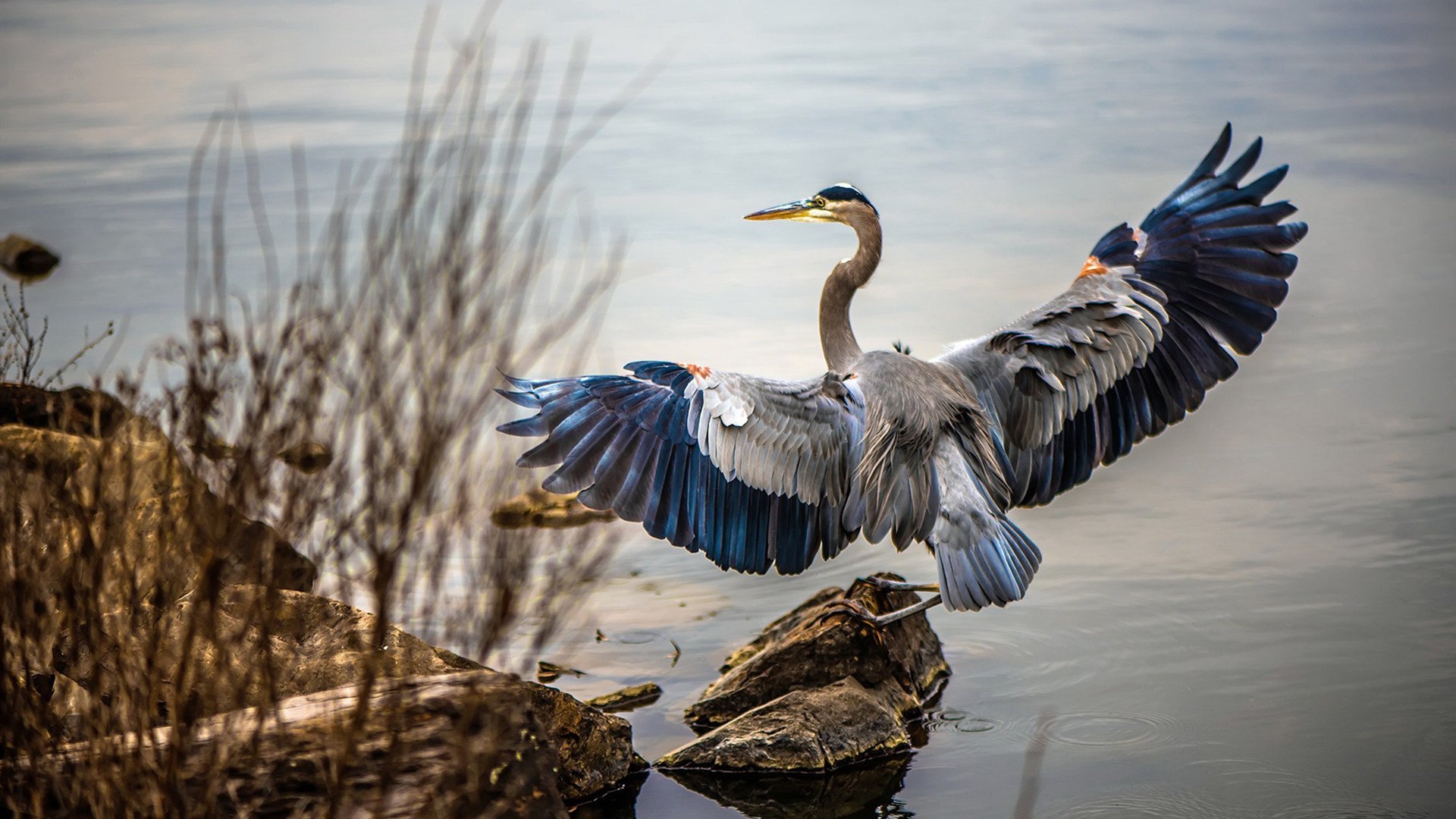 Kaiyun APP-尤文图斯完胜AC米兰，弗拉霍维奇双响立大功，尤文图斯vs佛罗伦萨