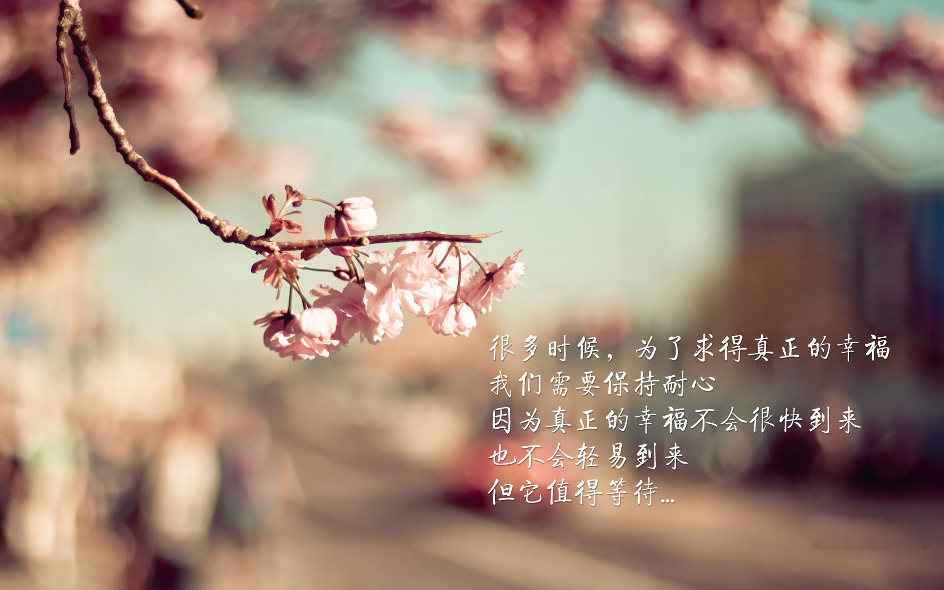 Kaiyun APP-是否应设立联盟官方播客平台，是否应设立联盟官方播客平台账号