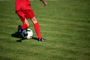 开云kaiyun-篮球运动员心理健康服务体系研究，篮球运动员心理健康服务体系研究论文