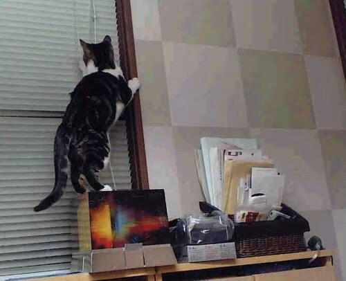 装备数据分析应用,装备试验数据