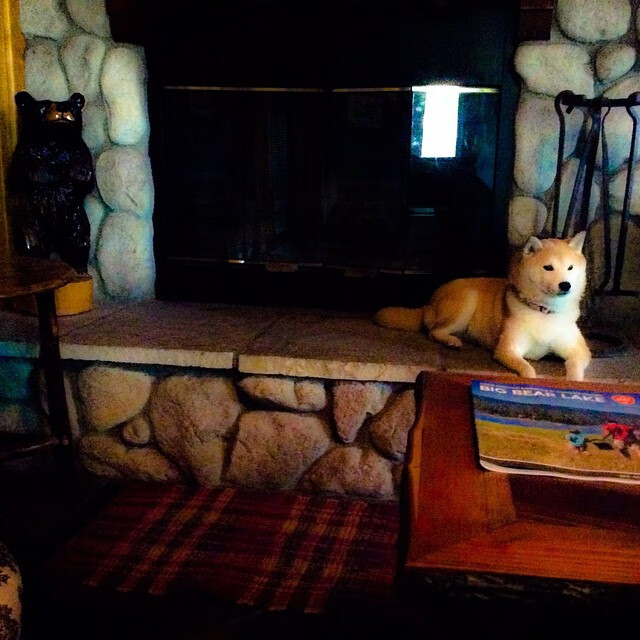 高校运动会组织效率改进报告,运动会改进建议