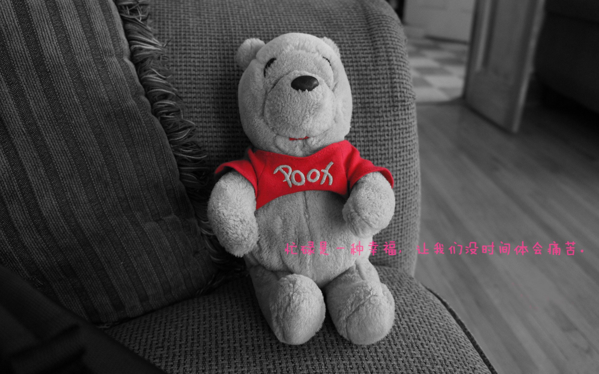 高校运动会组织效率改进报告,运动会改进建议