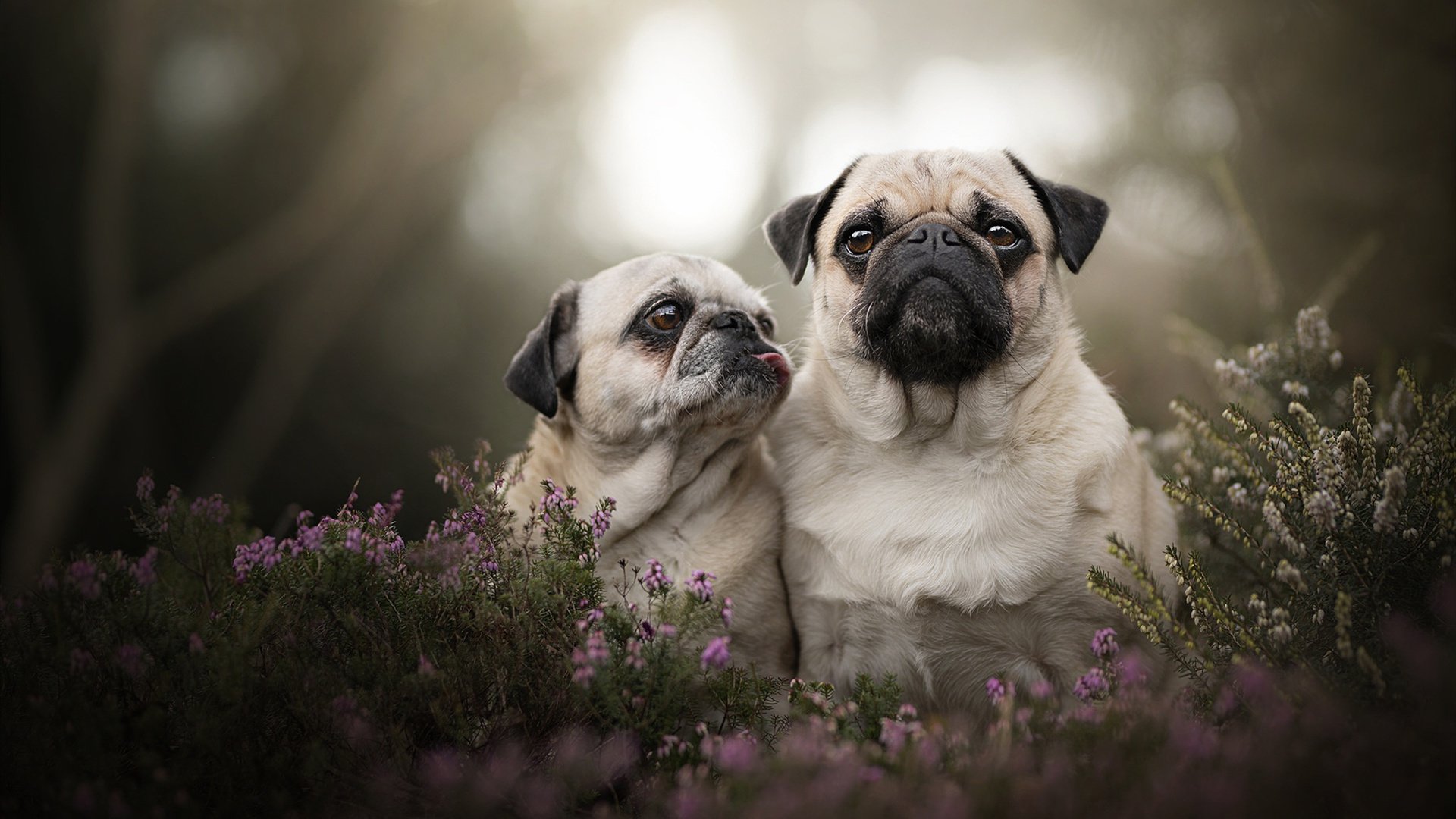 KAIYUNAPP-CBA球队注重青年球员培养 打造未来之星，cba未来规划