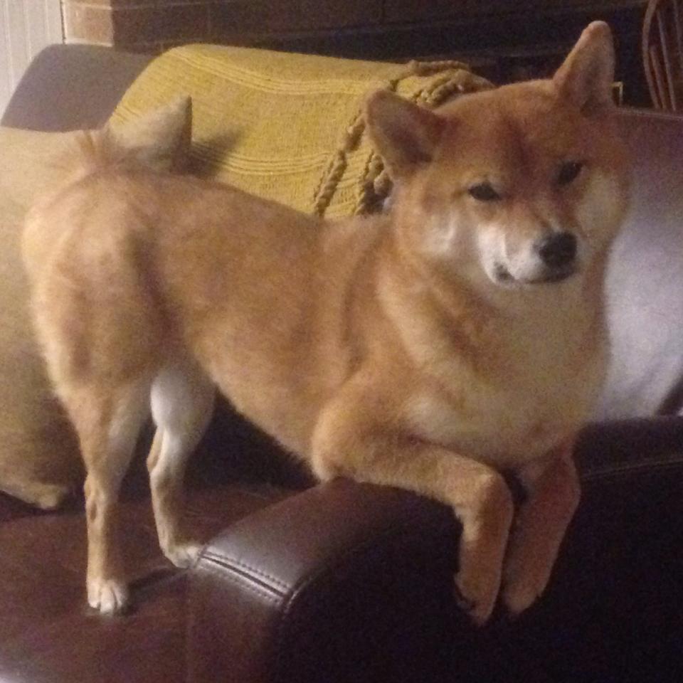 开云kaiyun-“简阳文体中心迎接2025世界运动会，精彩运动开幕”