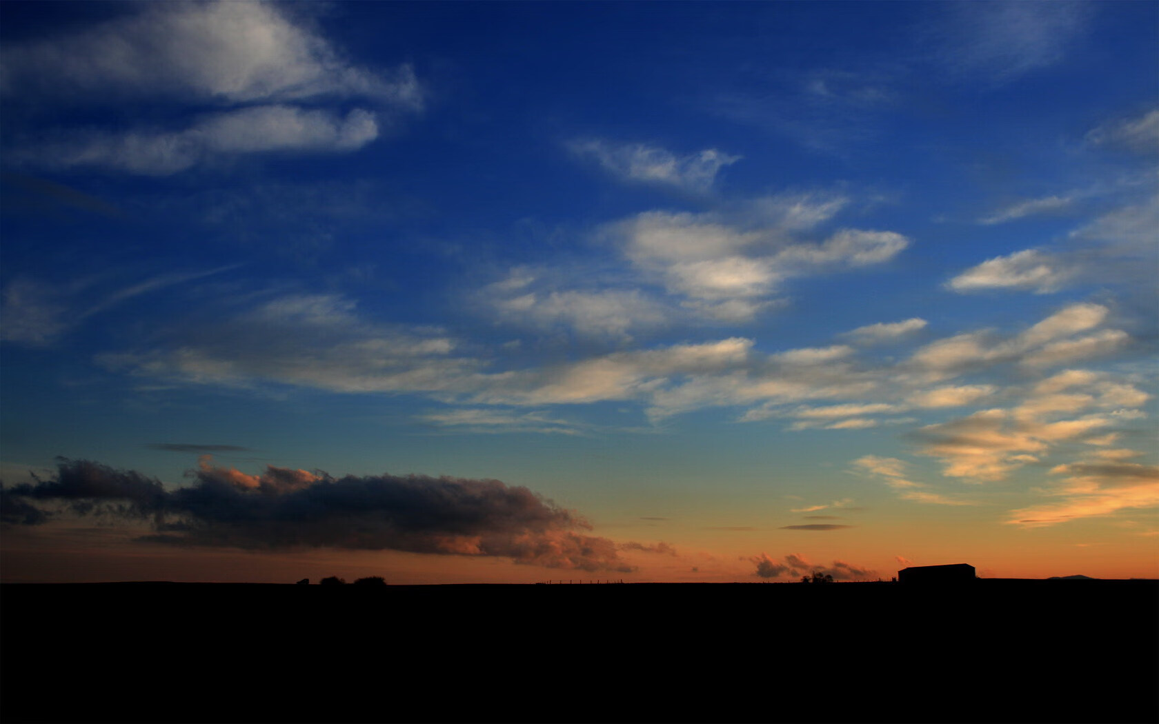 波兰队赛制解读:如何在赛制下增强队员的临场反应能力,波兰队战绩
