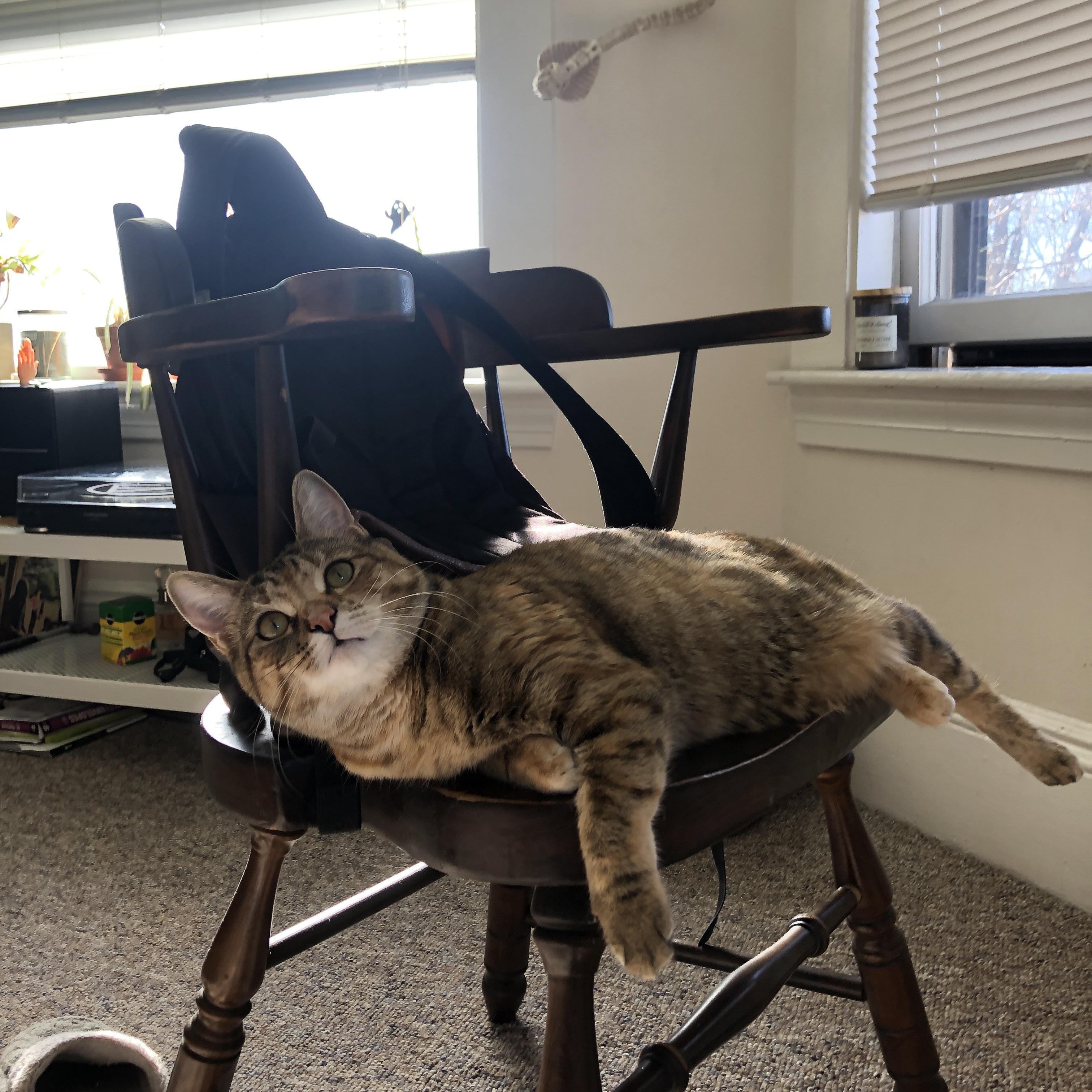 开云体育-马拉松赛事设置人脸识别签到通道提升效率，上海马拉松人脸识别