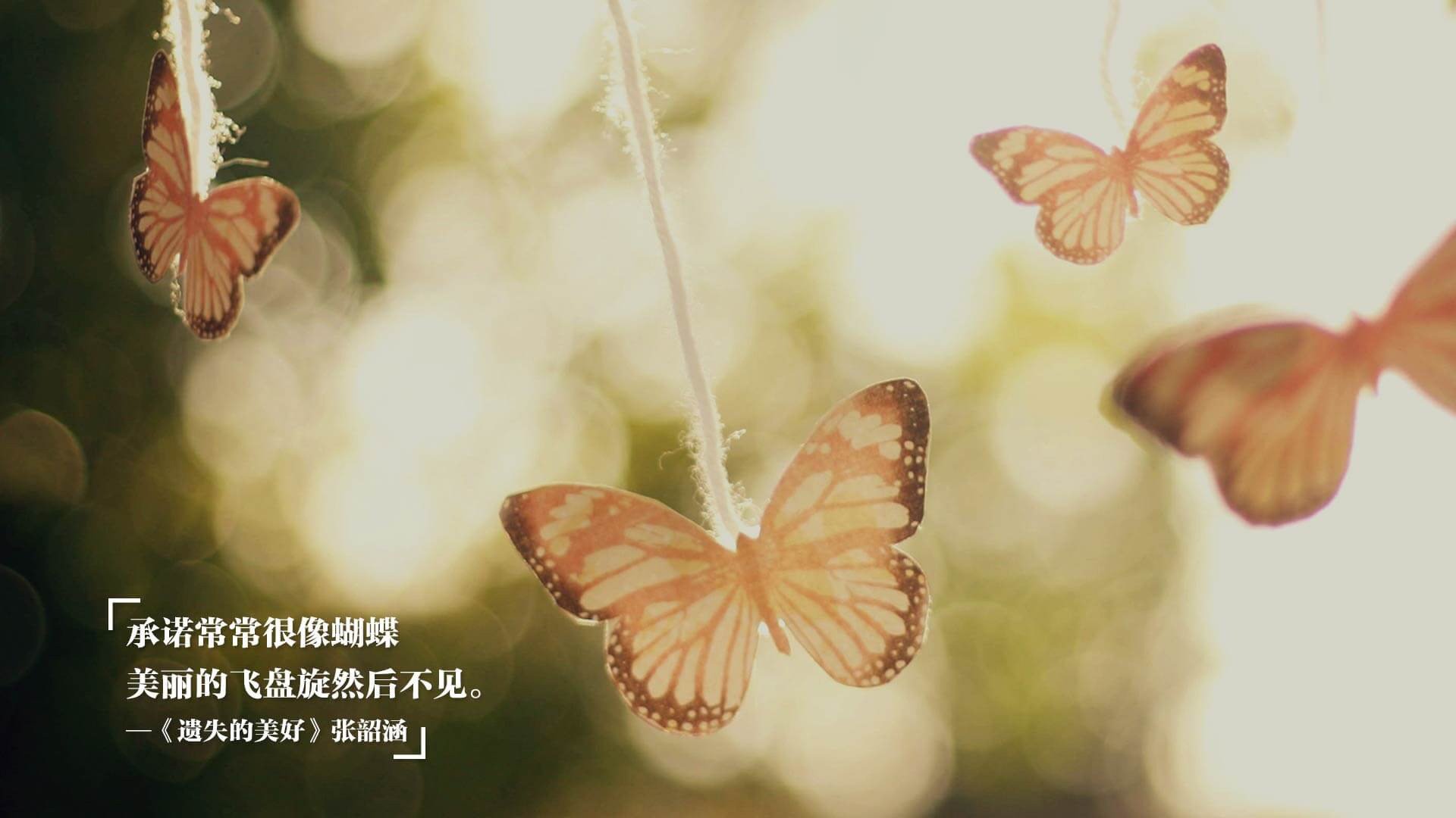 中超联赛媒体开放日增强球迷与球队双向互动，中超对球迷开放